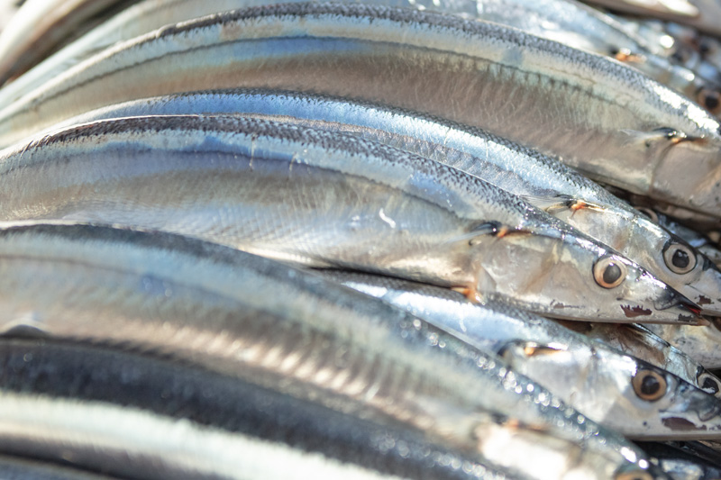 献立とイベント