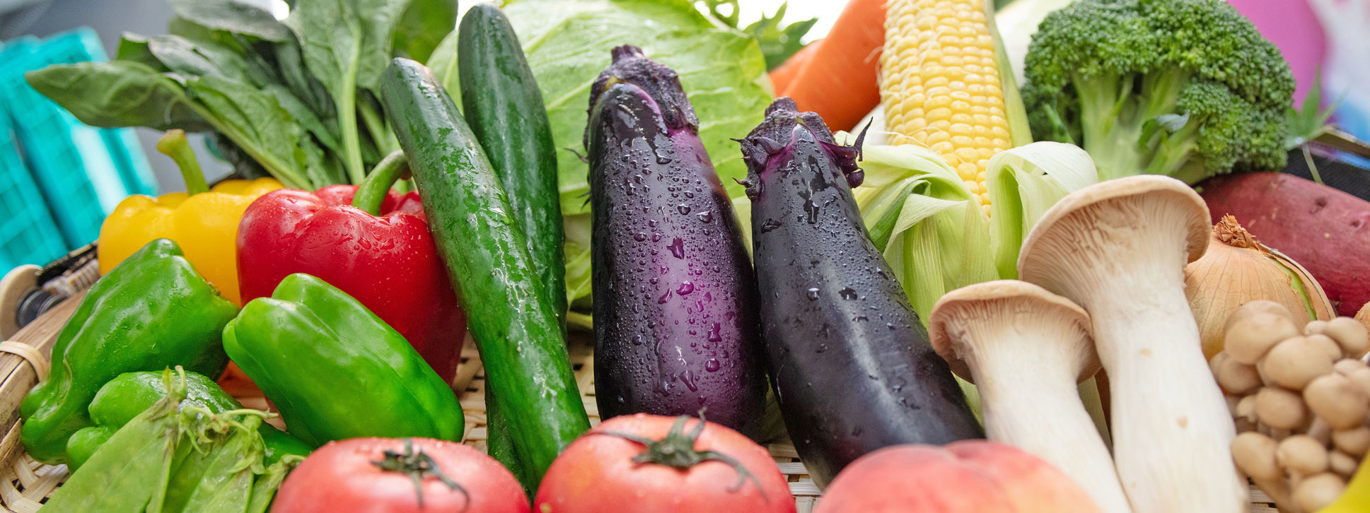 ホットニュース